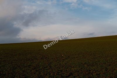 Ahi Mesut'ta Bulvara Yakın 480 m² Konut İmarlı Arsa