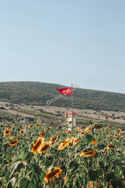 Karahasanlı'da 4.200 m² Tarla — Ana Yola 300 m